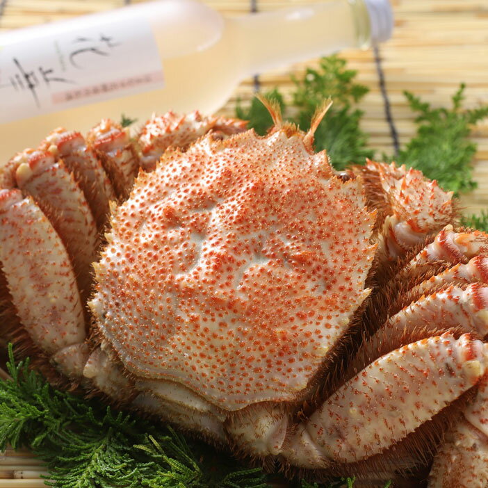 【ふるさと納税】釧路 福司 はまなす花酵母のお酒と毛がに400gのセット 北海道 釧路 ふるさと納税 酒 アルコール かに 蟹 カニ 詰め合わせ F4F-5344