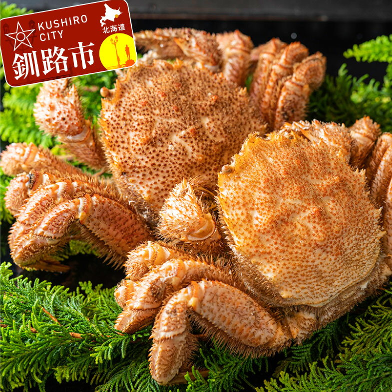 【ふるさと納税】ボイル毛がに(浜茹で急速冷凍)2尾入 (2尾で800g〜1.0kg) 北海道 釧路 ふるさと納税 茹で 毛蟹 かに 蟹 魚介類 海産物 F4F-0443
