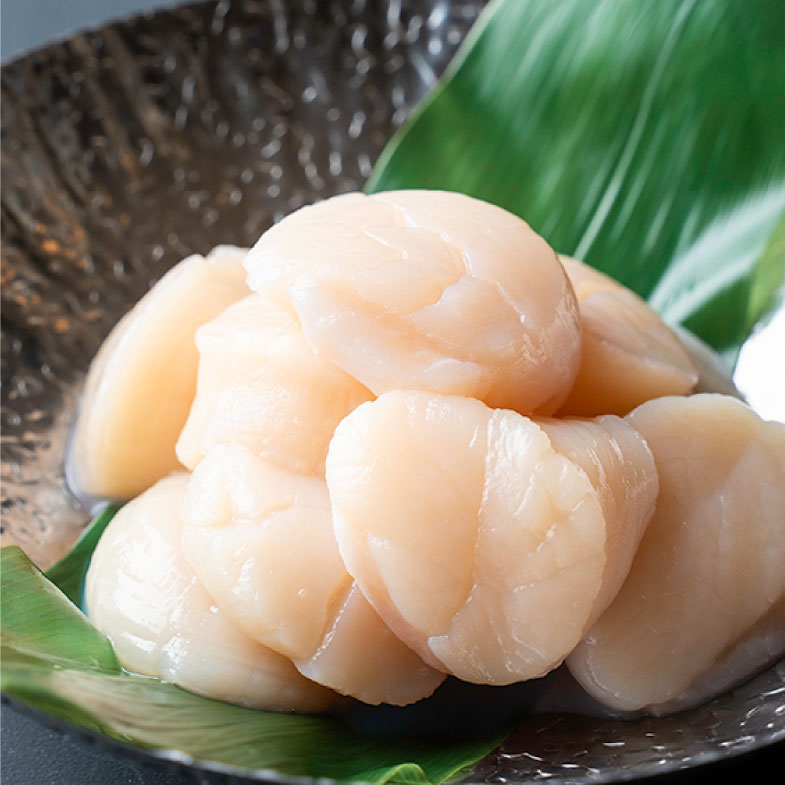 【ふるさと納税】北海道産・お刺身用ホタテ玉冷凍【L】500g 北海道 釧路 ふるさと納税 ほたて 帆立 貝 魚介類 海産物 F4F-7826