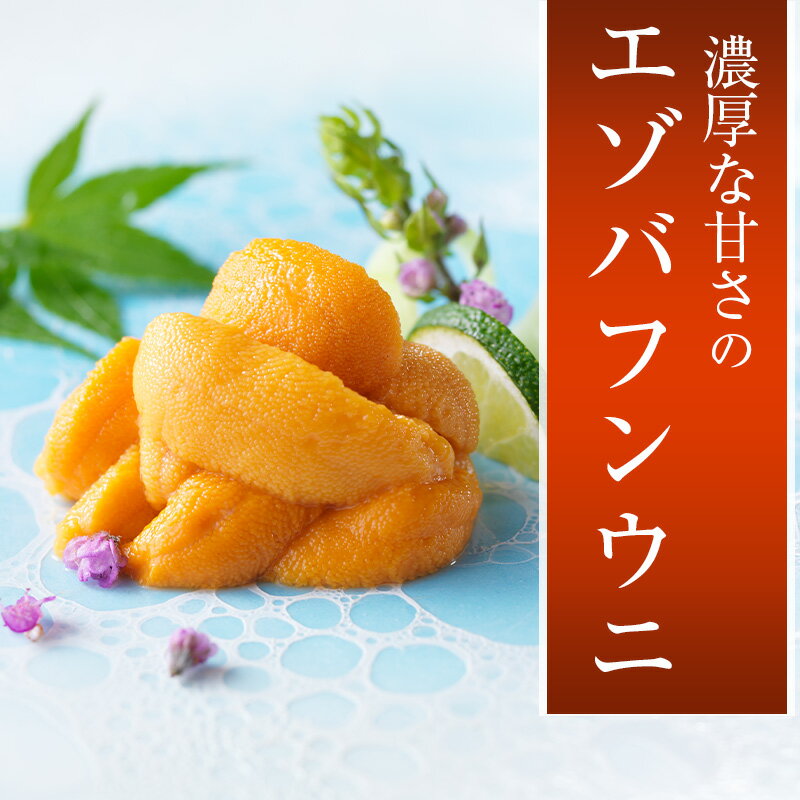 【ふるさと納税】【順調発送中】生うに折詰（エゾバフンウニ）木箱入り250g×1枚 北釧水産 北海道 釧路 ふるさと納税 うに ウニ 雲丹 生 折折詰 うに丼 刺身 魚介 海産物 海の幸 F4F-4343