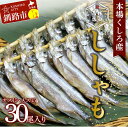  本場くしろ産 ししゃもオス・メス30尾入り！ （オス・メス 各15尾） 北海道 釧路 ふるさと納税 魚 ししゃも 魚介類 海産物 海の幸 F4F-4545