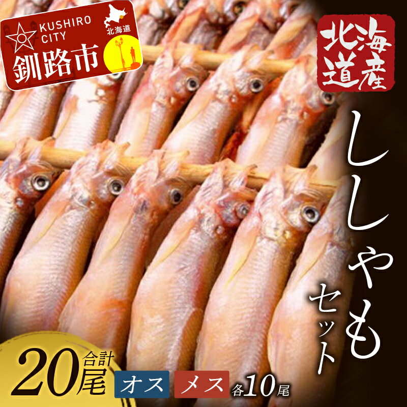 【ふるさと納税】【オスメス食べ比べ】 北海道産・ししゃもセット （オス・メス 各10尾） 北海道 釧路 ふるさと納税 ししゃも 魚 海鮮 魚介類 魚介 食べ比べ オス 雄 メス 雌 海産物 海の幸 F4F-3597