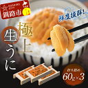 【ふるさと納税】生うに折 60g ×3 【鮮度抜群！極上生え