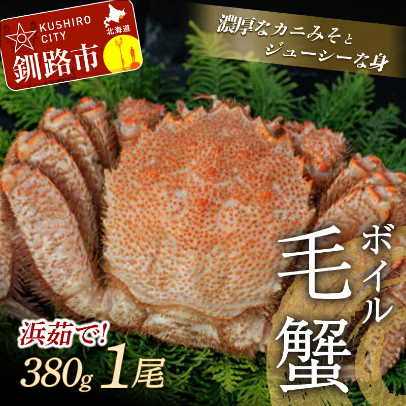 【ふるさと納税】【浜茹で！】 ボイル毛ガニ 380g （冷凍） ×1尾 北海道 釧路 ふるさと納税 蟹 かに カニ 毛蟹 毛がに 海の幸 海鮮 魚介 魚介類 ボイル 浜ゆで 茹で 海産物 F4F-0425