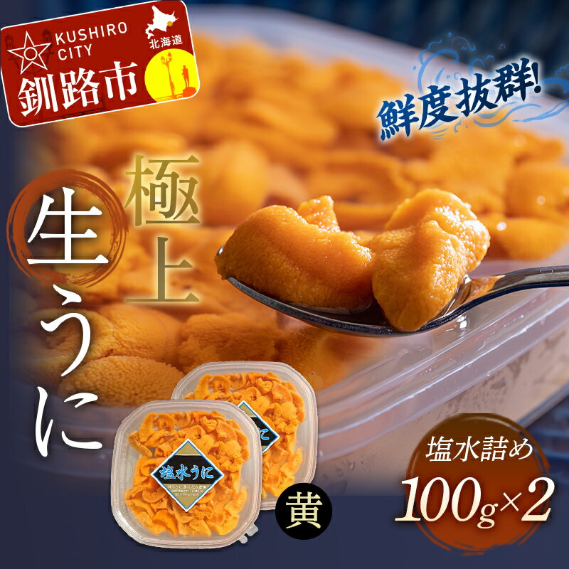 【お試し価格！】 □最安値！美味！特上塩うに1本1990円送料無料！5本9950円！ 食品 魚介類(加工食品)