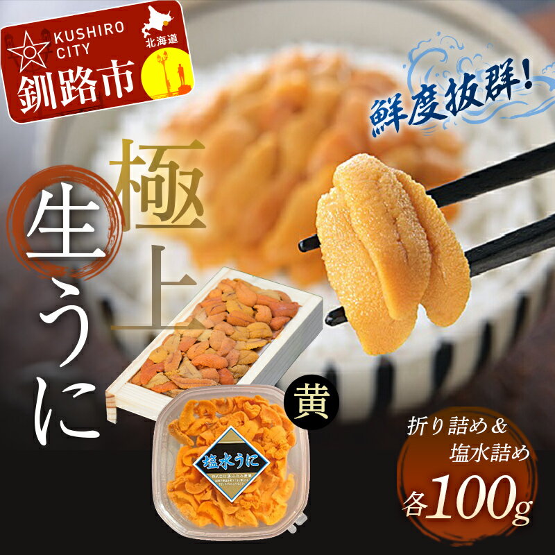 [鮮度抜群!特選・特上えぞバフンうに食べ比べセット[黄]]塩水詰め100g×折ウニ100g 北海道 釧路 ふるさと納税 うに ウニ 雲丹 魚介類 海産物