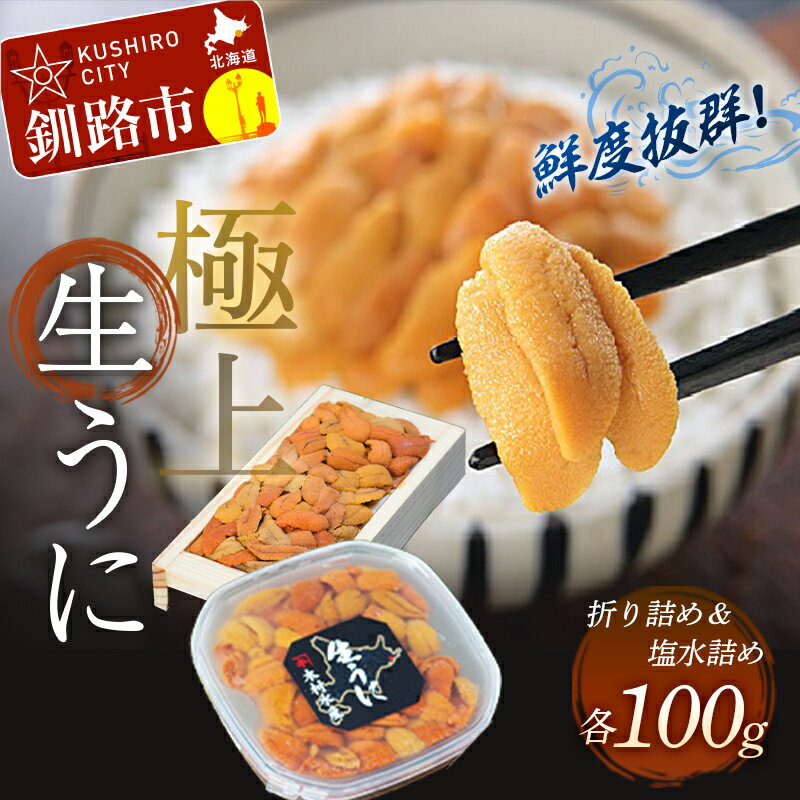 【ふるさと納税】【食べ比べセット】生うに折100g&塩水うに100g 北海道 釧路 ふるさと納税 うに 雲丹 ウニ ごはんのお供 寿司 丼 新鮮 甘い 海の幸 贅沢 F4F-0566のサムネイル