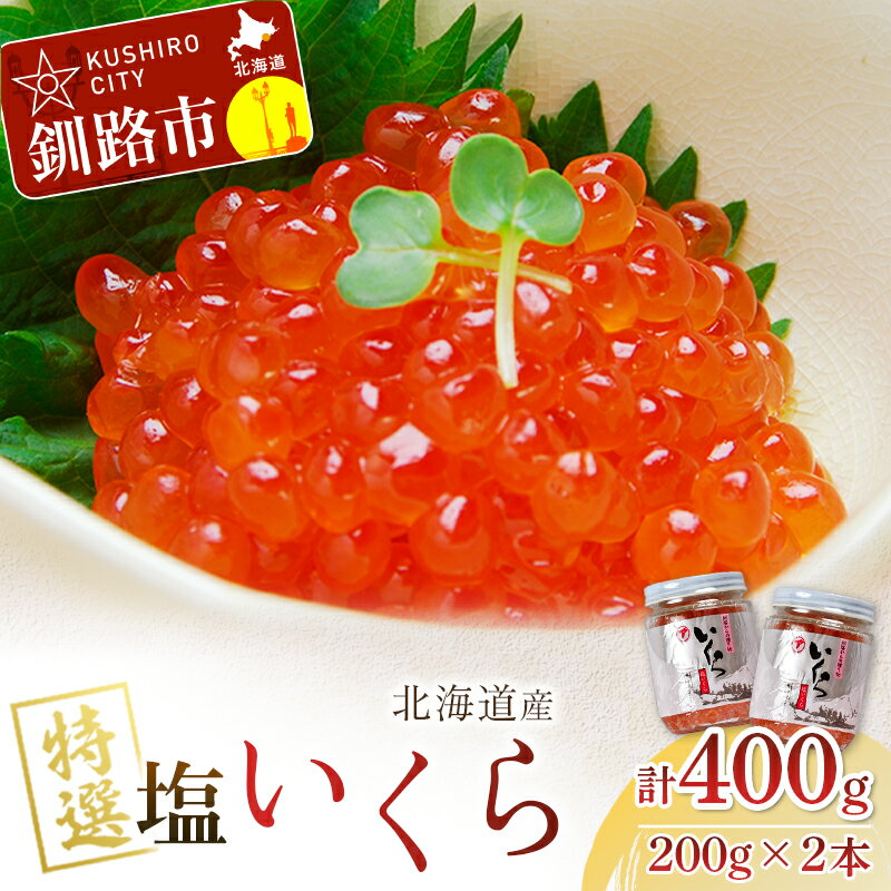 【ふるさと納税】【北海道産】 ア特選 塩いくら 瓶 200g ×2 北海道 釧路 ふるさと納税 いくら 塩漬け 魚卵 魚介 海鮮 海産物 海の幸 いくら丼 F4F-1062のサムネイル
