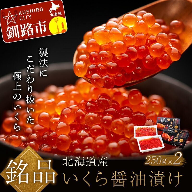 【ふるさと納税】いくら イクラ (鮭) 北海道 500g (250g×2) 北海道 釧路 笹谷商店 魚 醤油漬け 海鮮醤油漬け 海鮮 海鮮丼 ギフト 冷凍 魚卵 魚介類 しょう油漬 ご飯のお供 F4F-1156のサムネイル