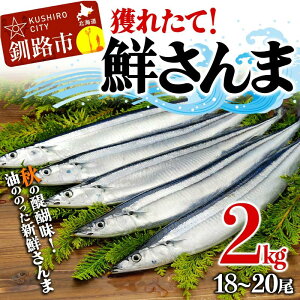 【ふるさと納税】獲れたて鮮さんま 2kg （18～20尾）さんま 秋刀魚 サンマ 新鮮 魚 鮮魚 海産物 旬 北海道 釧路 F4F-3229