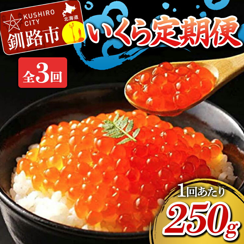 【ふるさと納税】定期便 3か月連続 北海道産 いくら定期便 250g×3回 いくら 3か月 定期便 F4F-1705