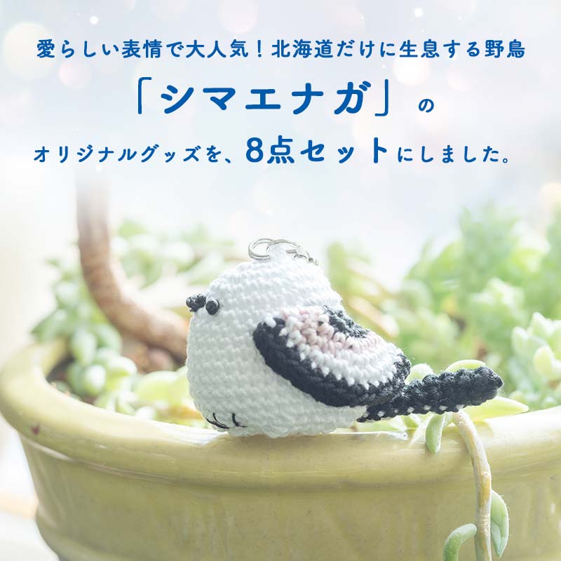 【ふるさと納税】シマエナガさんセット 大 文房具 文具セット 編みぐるみ シマエナガグッズ 雑貨 写真集 クッキー 北海道 F4F-1795