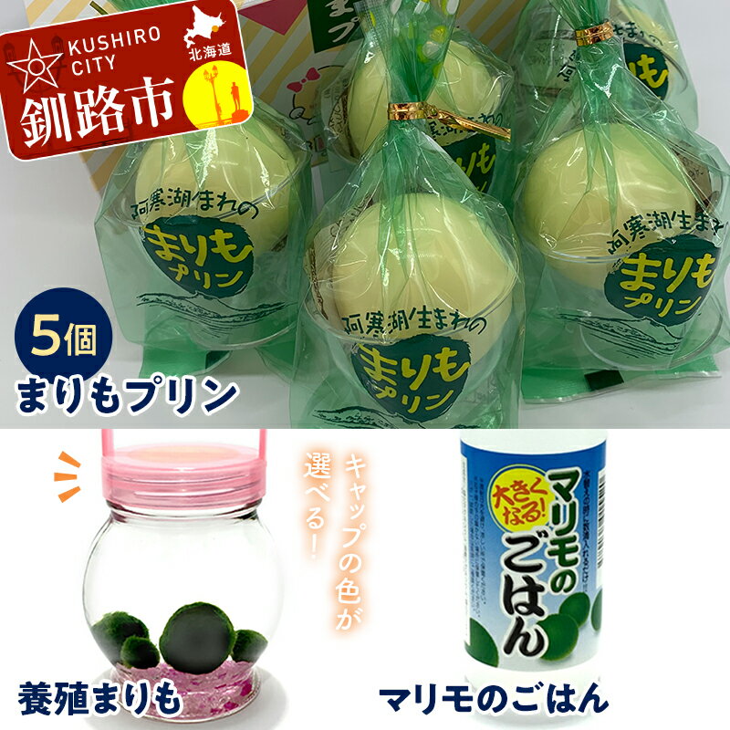 【ふるさと納税】阿寒湖銘菓まりもプリン5個入と養殖まりもセッ