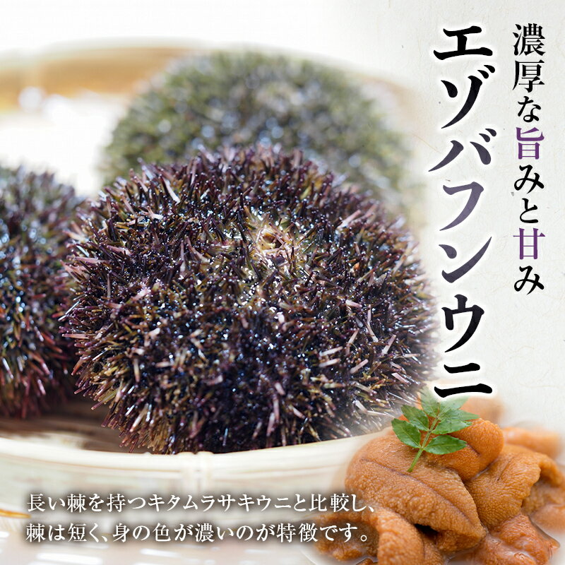 【ふるさと納税】【鮮度抜群！極上生ウニ】 生うに折 100g 北海道 釧路 ふるさと納税 うに ウニ 雲丹 生うに エゾバフンウニ 折 折り詰め 海産物 海鮮 魚介 魚介類 海の幸 うに丼 極上 F4F-3209