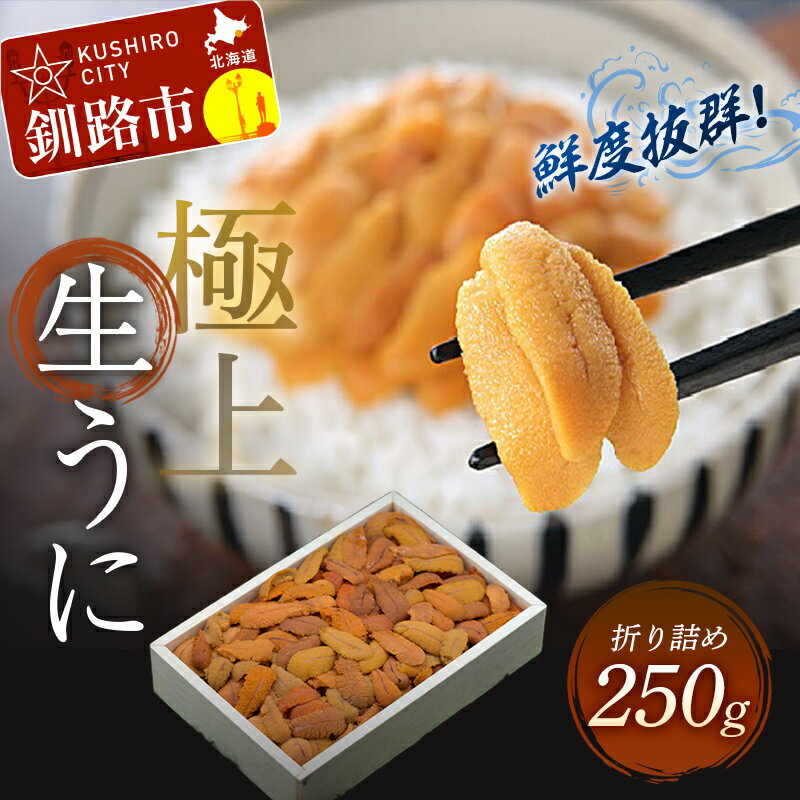 [鮮度抜群!極上生えぞバフンうに] 生うに折 250g 北海道 釧路 ふるさと納税 うに ウニ 雲丹 生ウニ エゾバフンウニ 折 折り詰め 海鮮 海産物 魚介 海の幸 うに丼