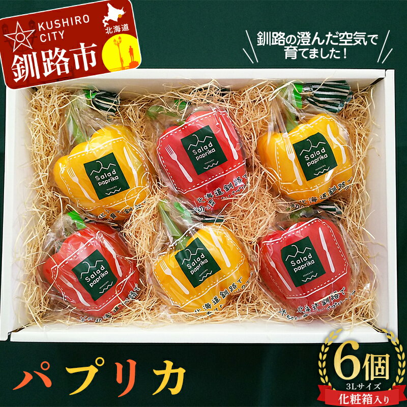 ڤդ뤵Ǽǡۡ5缡ȯ ѥץꥫ 3L6   ̳ƻ   ¢ ̳ƻ ԡޥ Ť ̵...