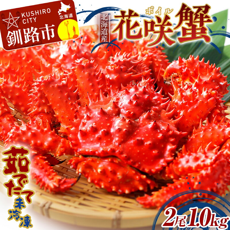 【ふるさと納税】 【茹でたて未冷凍】北海道産・ボイル花咲蟹2尾で1.0kg かに カニ 花咲ガニ 釧路 海鮮 F4F-2443のサムネイル