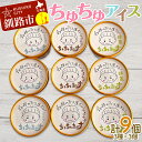 【ふるさと納税】アイス 3種×3個 計9個セット(ミルク・抹茶・チョコチップ)あいす ジェラート デザート F4F-2869