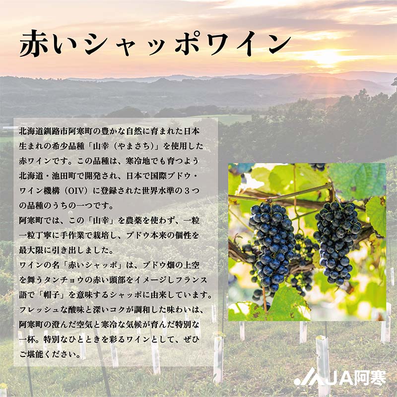 【ふるさと納税】赤いシャッポワイン×2本 赤ワイン 北海道産 ワイン プレミアム セット 酒 北海道 阿寒町産 F4F-3145