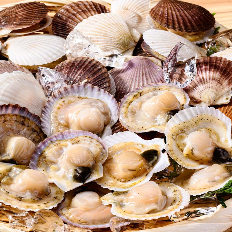 【ふるさと納税】 食べごたえ十分！たっぷり殻付き冷凍ほたて3kg ふるさと納税 ホタテ 帆立 貝柱 貝 冷凍 大容量 刺身 バター焼き 魚介類 魚介 海鮮 海鮮食品 グルメ 食品 北海道 釧路 F4F-3303