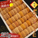 【ふるさと納税】高級・特選縦列盛えぞバフンうに250g ふるさと納税 うに 高級 ウニ 雲丹 エゾバフンウニ 大容量 贈答用 ギフト 北海道 釧路 F4F-35...