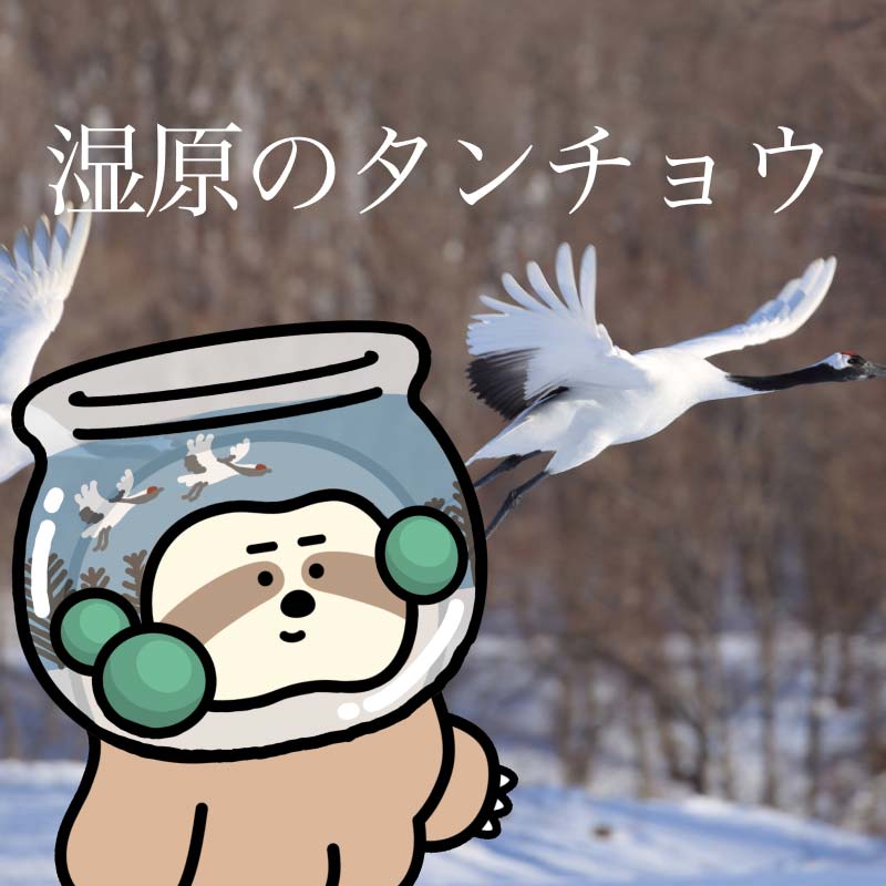 【ふるさと納税】【数量限定】着せ替えご当地NFT 『 sloth × 釧路市』 NFTアート ご当地 着せ替え 限定 キャラクター 限定 釧路市 阿寒 まりも F4F-3775