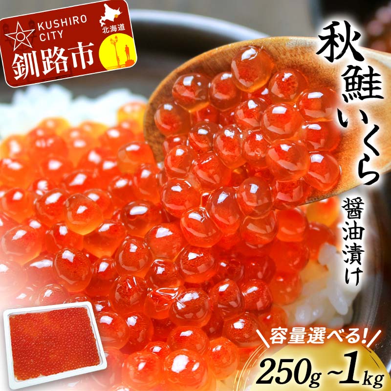 【ふるさと納税】容量×選べる発送月 【北海道産】 秋鮭 いくら醤油漬け 250g or 500g（250g×2パック）...