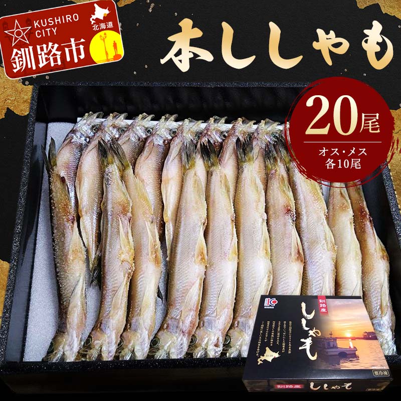 【ふるさと納税】本ししゃも20尾 (オスメス各10尾) シシ