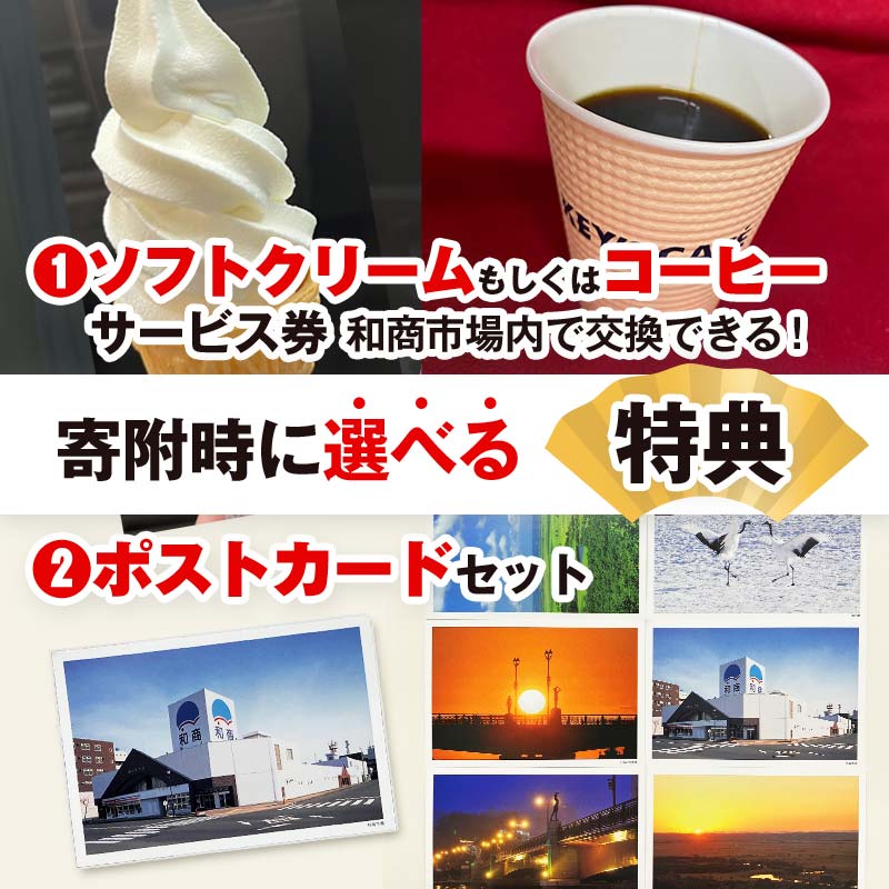 【ふるさと納税】 金額が選べる 特典付き 釧路和商市場 1,500円分〜4,500円分 チケット 食事券 勝手丼 海鮮丼 海鮮 刺身 マグロ サーモン エビ イカ ホタテ 釧路市 観光 旅行 F4F-4316var