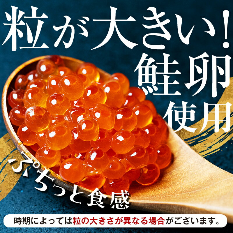 【ふるさと納税】★無添加 北海道産いくら★ 生醤油漬 特選 無添加 200g 400g 500g 600g 1kg 定期便 海鮮 北海道 イクラ いくら醤油漬け 鮭 秋鮭 鮭卵 魚卵 いくら丼 ご飯のお供 小分け 発送時期が選べる いくら500g 北海道 釧路市 F4F-4355var