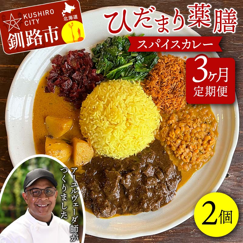 [3ヶ月連続定期便] ひだまり薬膳スパイスカレー 2個 冷凍 薬膳 スパイスカレー カレー スパイス デトックス 保存食 ジビエ 低糖質 ターメリックライス