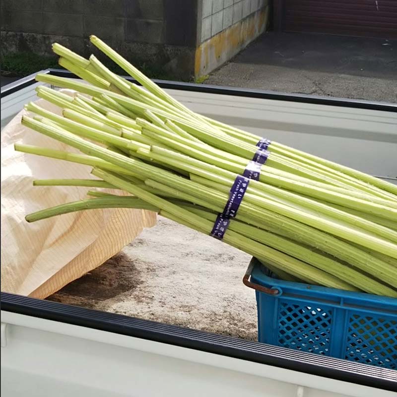 【ふるさと納税】≪6月中に順次発送≫ 音蕗(おんぶき) 1kg 音別の蕗と道東産の昆布だけで作った佃煮「ふきっこ」 おかず 無農薬 ご飯のお供 セット 小分け つくだ煮 佃煮 フキ ふき 音別産生蕗 北海道産 北海道 F4F-4564