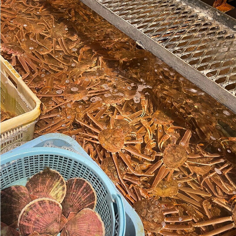 【ふるさと納税】(訳あり)北海道産・大ずわいかに(ボイル冷凍) 3～7尾 カニ ズワイガニ 蟹 楚蟹 ずわいガニ ずわい蟹 冷凍 ボイル 海産物 F4F-8029
