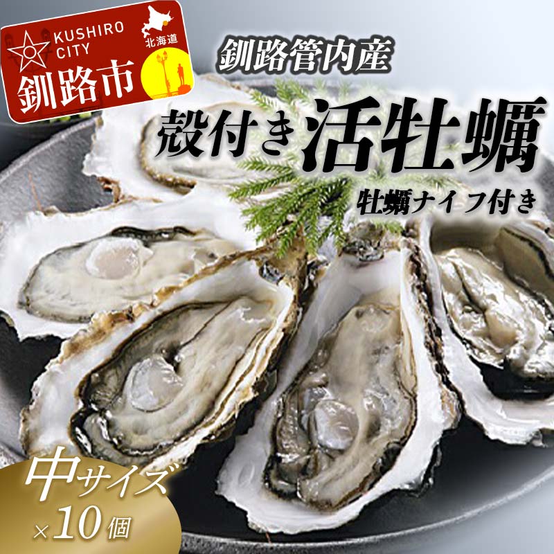 [ぷりっぷりで濃厚!]釧路管内産[活]牡蠣(中)10個(カキナイフ付き) 北海道 釧路 ふるさと納税 牡蠣 貝 海 ミルク 魚介 かき