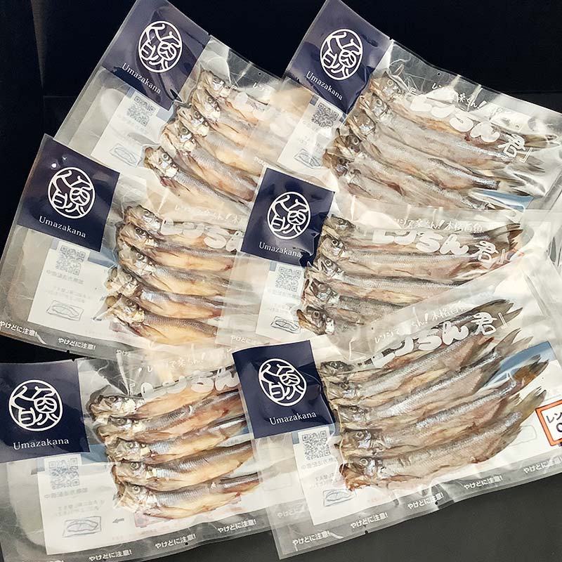 【ふるさと納税】レンちん君釧路産本ししゃもセット シシャモ 冷凍 魚 海産物 一夜干し 北海道 F4F-8446