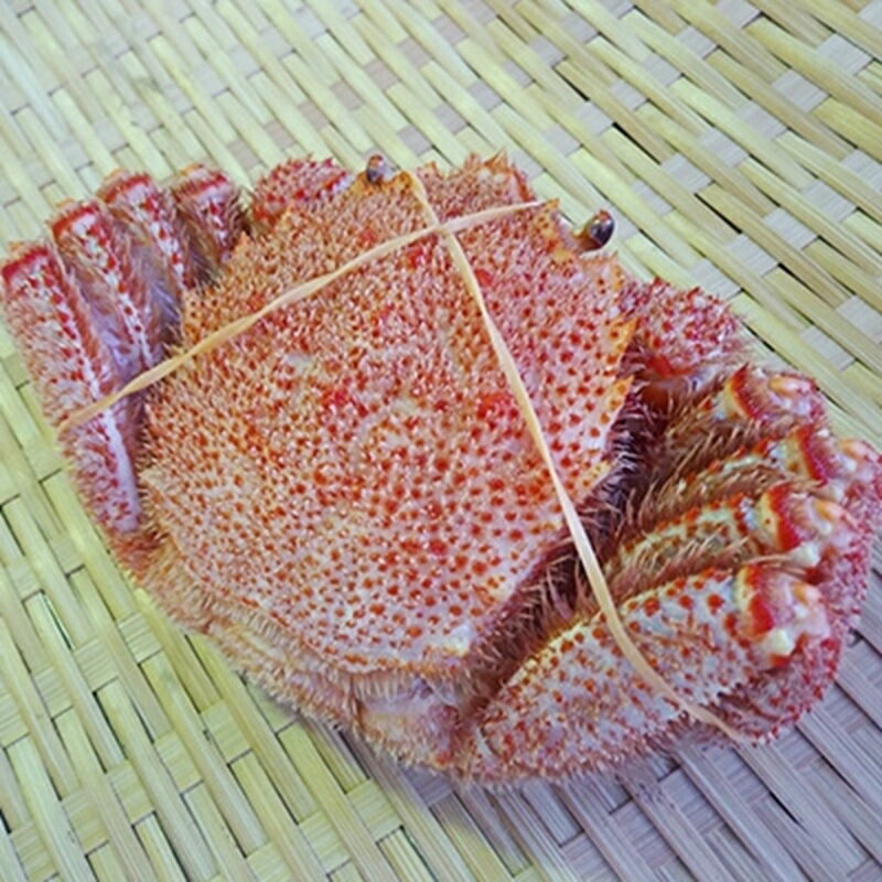 【ふるさと納税】いくら醤油漬け90g×1 ボイル毛がに380g～400g ふるさと納税 いくら かに F4F-8831