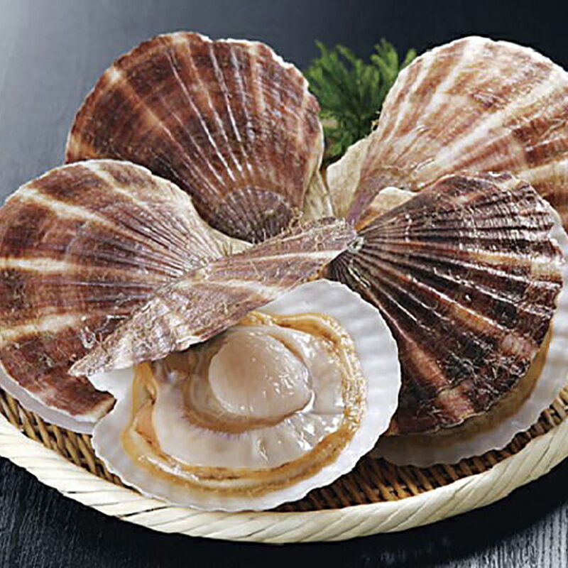 【ふるさと納税】【北海道から直送!!】殻付活ホタテ貝（4.0kg詰）12～20枚入 北海道 釧路 ふるさと納税 貝 ほたて ホタテ 帆立 産地直送 魚介 海鮮 F4F-7718