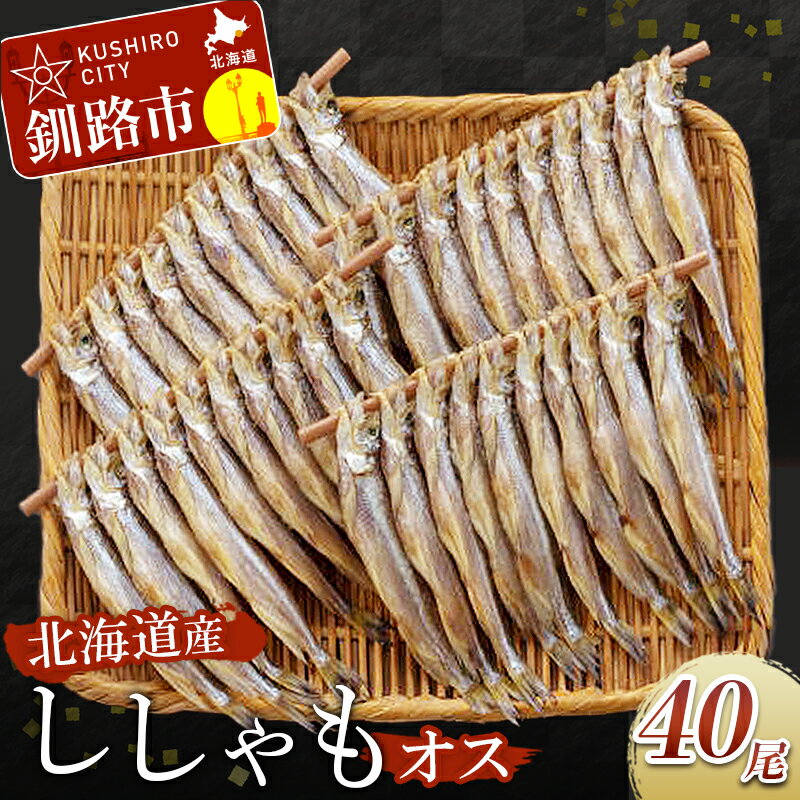北海道産・ししゃもオス40尾 北海道 釧路 ふるさと納税 ししゃも シシャモ オス 焼き魚 焼魚