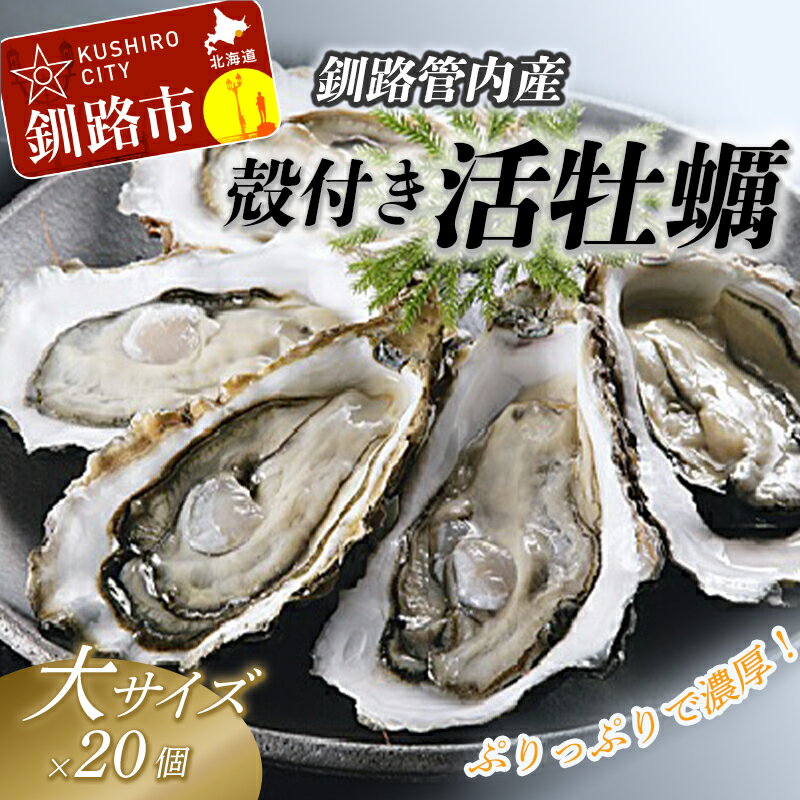 魚介類・水産加工品(貝類)人気ランク28位　口コミ数「5件」評価「3」「【ふるさと納税】【ぷりっぷりで濃厚！】釧路管内産【活】牡蠣（大）20個 北海道 釧路 ふるさと納税 牡蠣 貝 海 ミルク 魚介 かき F4F-0382」