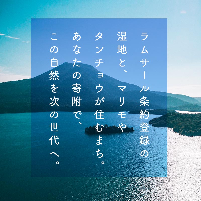 【ふるさと納税】あなたの寄附が自然を守る、未来へつなぐ　釧路湿原等自然環境保全支援 【返礼品なし】1000円〜 SDGs サスティナブル エコ shizen01var f012068-kushiro-10002909 北海道釧路市 サンプル画像2