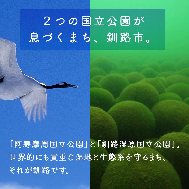 【ふるさと納税】あなたの寄附が自然を守る、未来へつなぐ　釧路湿原等自然環境保全支援 【返礼品なし】1000円〜 SDGs サスティナブル エコ shizen01var f012068-kushiro-10002909 北海道釧路市 サンプル画像3