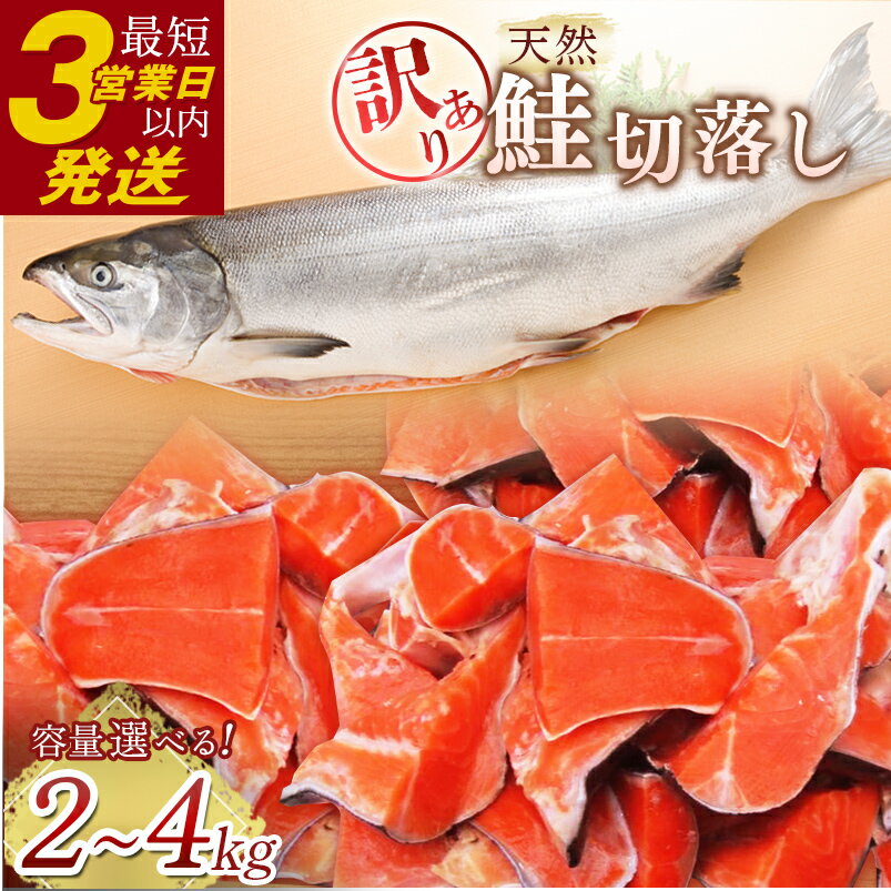 【ふるさと納税】容量が選べる 訳あり 天然紅鮭切落し 1kg