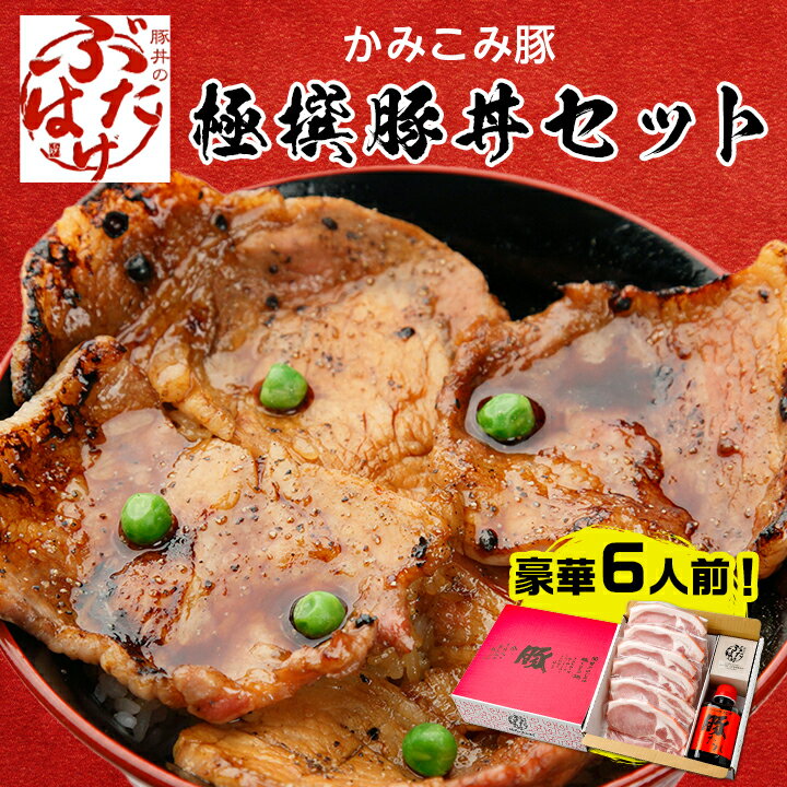 27位! 口コミ数「0件」評価「0」豚丼のぶたはげ「極撰豚丼セット6人前」【配送不可地域：離島】【1205705】