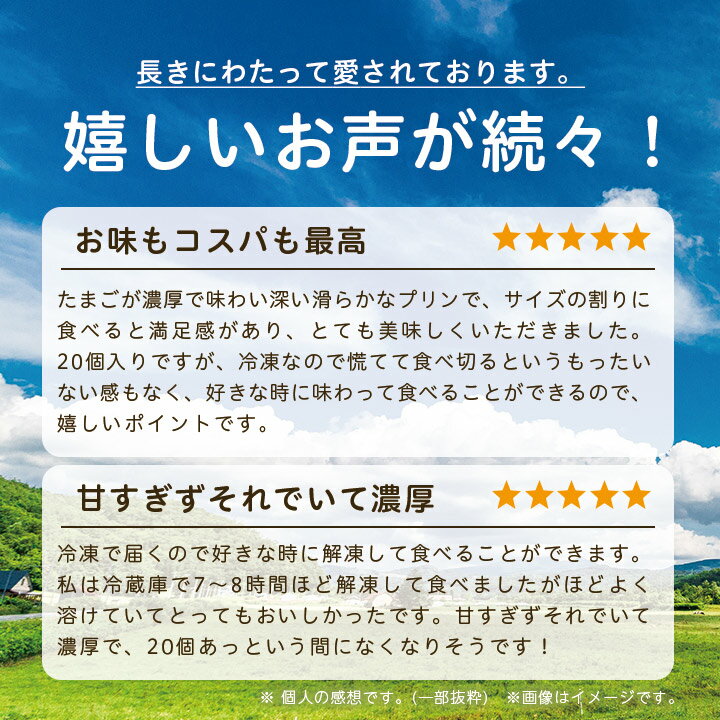 【ふるさと納税】 十勝 ブラウンスイス乳プリン 20個 _ プリン スイーツ デザート 北海道 帯広 人気 美味しい セット ギフト プレゼント 【配送不可地域：離島】【1207163】