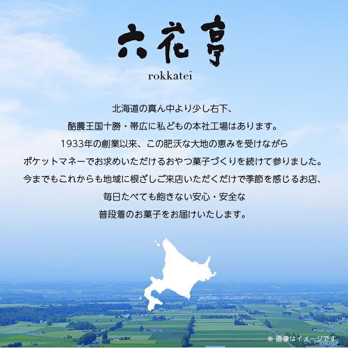 【ふるさと納税】 六花亭 ザ・ マルセイ 31個入 _ 帯広市 北海道 スイーツ おやつ お菓子 マルセイバターサンド バターサンド ギフト プレゼント 贈り物 【1227410】