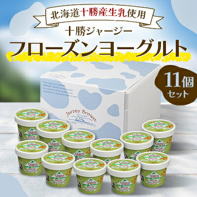 【ふるさと納税】十勝ジャージーフローズンヨーグルト 11個セット【配送不可地域：離島】【1142727】