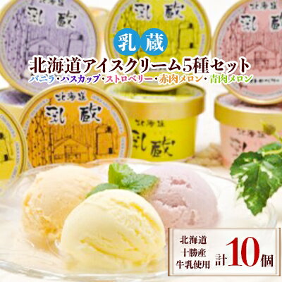 乳蔵北海道アイスクリーム5種セット(計10個)(110130)[配送不可地域:離島]