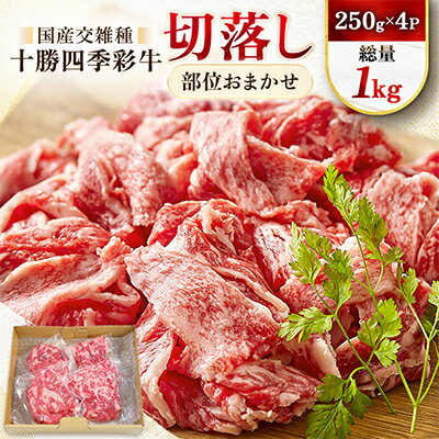 十勝四季彩牛切落し(部位おまかせ)総量1kg(250g×4P)[国産交雑種]_ 牛肉 肉 牛 切り落とし 切り落し 切落し カタ バラ モモ 精肉 にく お肉 霜降り 十勝四季彩牛 すき焼き 牛丼 ギフト プレゼント 冷凍 送料無料 [配送不可地域:離島]