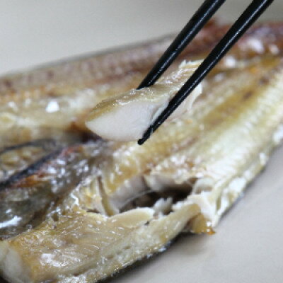 北海道帯広市の画像2