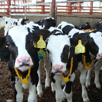 北海道帯広市の画像3